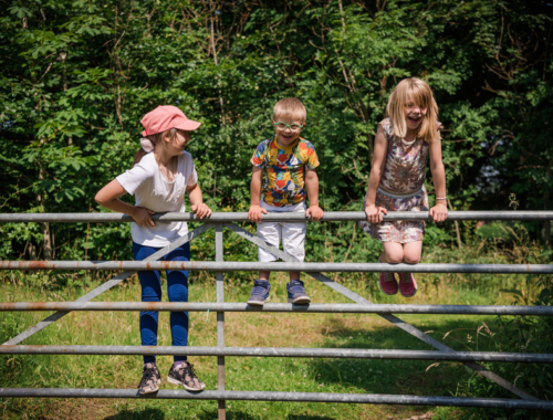 Three siblings stood in the countryside at a metal gate looking into a field